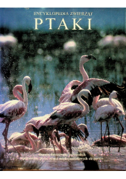Encyklopedia zwierząt Ptaki