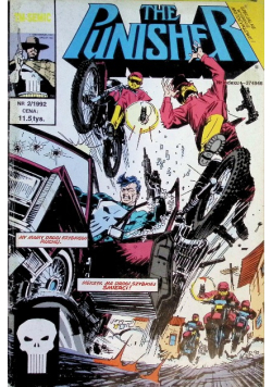 The punisher Nr 2