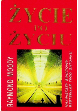 Życie po życiu