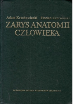 Zarys anatomii człowieka