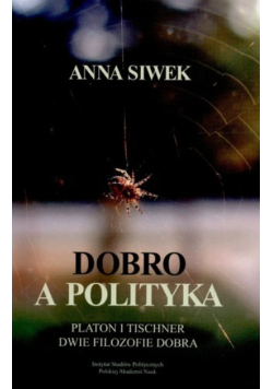 Dobro a polityka