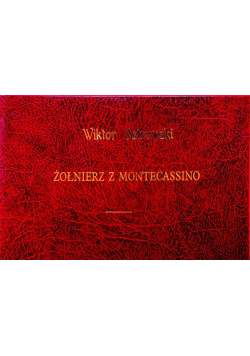 Żołnierz z montecassino