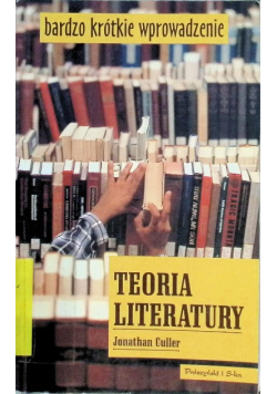 Teoria literatury