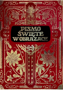 Pismo święte w obrazach