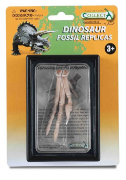 Replika kończyny dolnej Velociraptora
