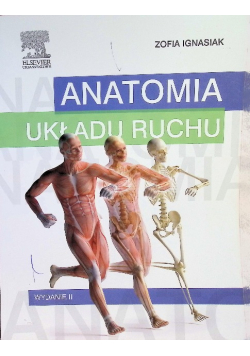 Anatomia układu ruchu