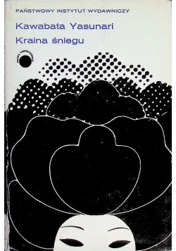 Kraina śniegu