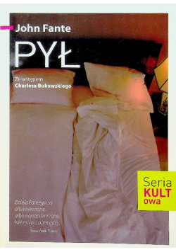 Pył