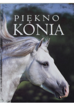Piękno konia