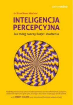 Inteligencja percepcyjna