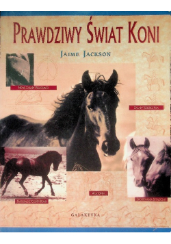 Prawdziwy świat koni