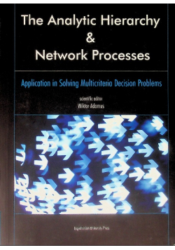 The Analytic Hierarchy and Network Processes Application in Solving Multicriteria Decision Problems