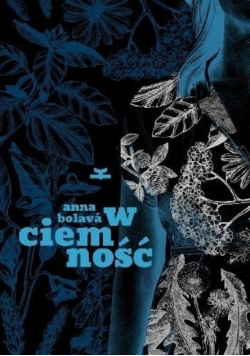W ciemność