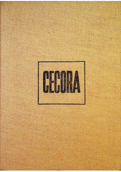 Cecora rok 1620