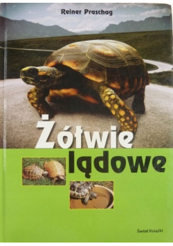 Żółwie lądowe