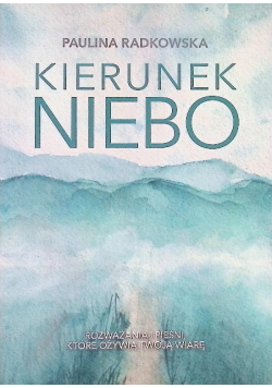 Kierunek niebo