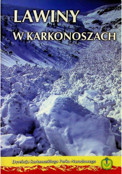 Lawiny w Karkonoszach
