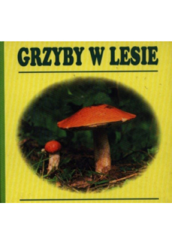 Grzyby w lesie