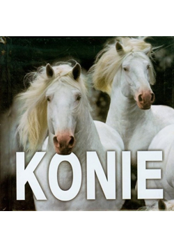 Konie