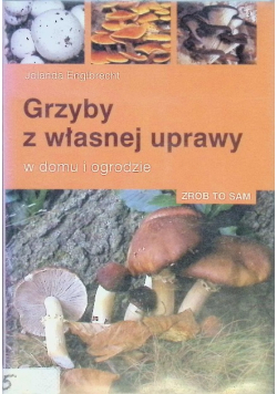 Grzyby z własnej uprawy
