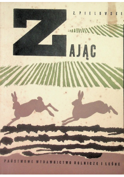Zając