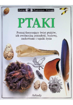 Ptaki