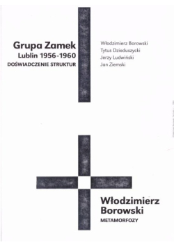 Grupa Zamek (Lublin 1956-1960) - Doświadczenie struktur