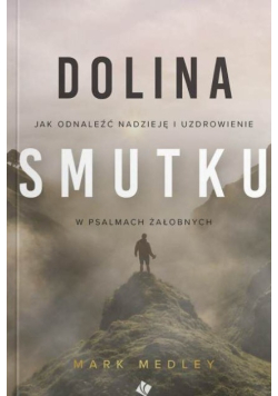 Dolina smutku jak odnaleźć nadzieję i uzdrowienie w psalmach żałobnych