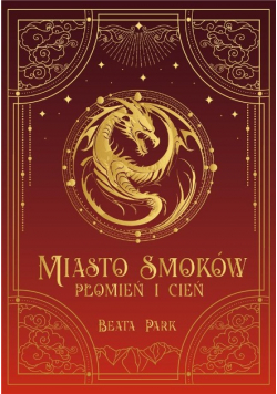 Miasto smoków Płomień i cień
