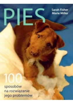 Pies 100 sposobów na rozwiązanie jego problemów