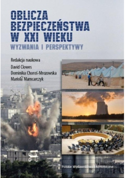Oblicza bezpieczeństwa w XXI wieku