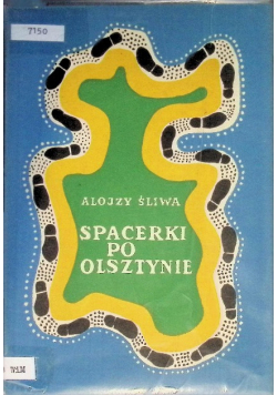 Spacerki po Olsztynie