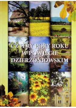 Cztery pory roku w powiecie dzierżoniowskim