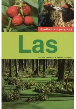 Las spotkania z przyrodą