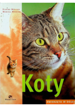 Koty Zwierzęta w domu