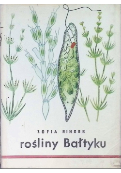 Rośliny Bałtyku