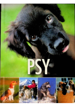 Psy