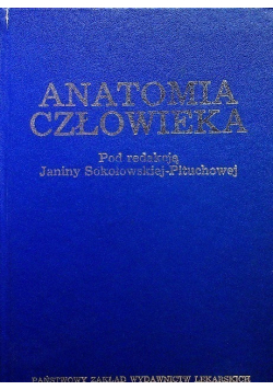 Anatomia człowieka