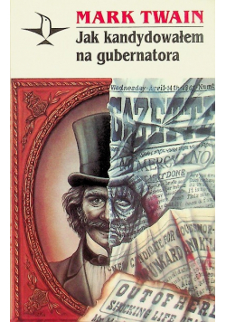 Jak kandydowałem na gubernatora