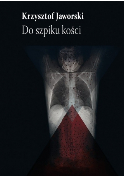 Do szpiku kości Ostatnia powieść awangardowa