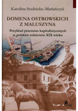 Domena Ostrowskich z Maluszyna