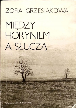 Między Horyniem a Słuczą