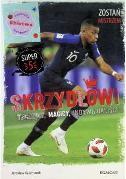 Skrzydłowi Technicy magicy indywidualiści