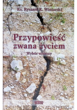 Przypowieść zwana życiem
