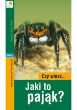 Czy wiesz Jaki to pająk
