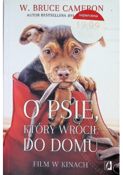 O psie, który wrócił do domu
