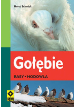 Gołębie Rasy hodowla
