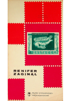 Renifer zaginął