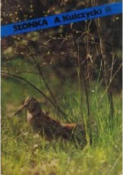 Słonka