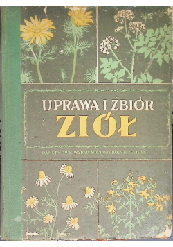 Uprawa i zbiór ziół